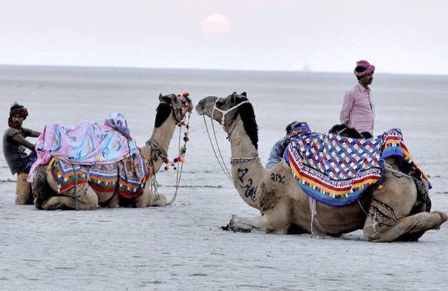 Mandvi shore and the Rann of Kutch